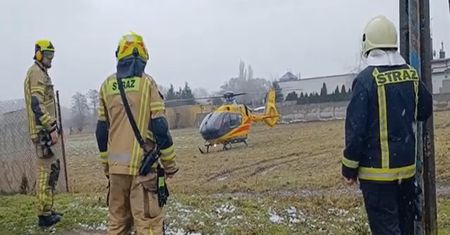 Byki zaatakowały mężczyznę. Tragedia w Wielkopolsce