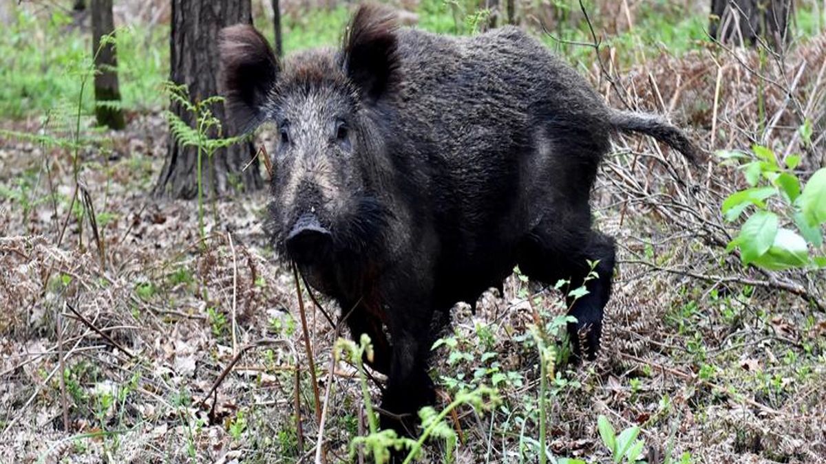Zdjęcie ilustracyjne