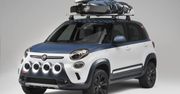 Fiat 500L Vans - koncept dla surfera