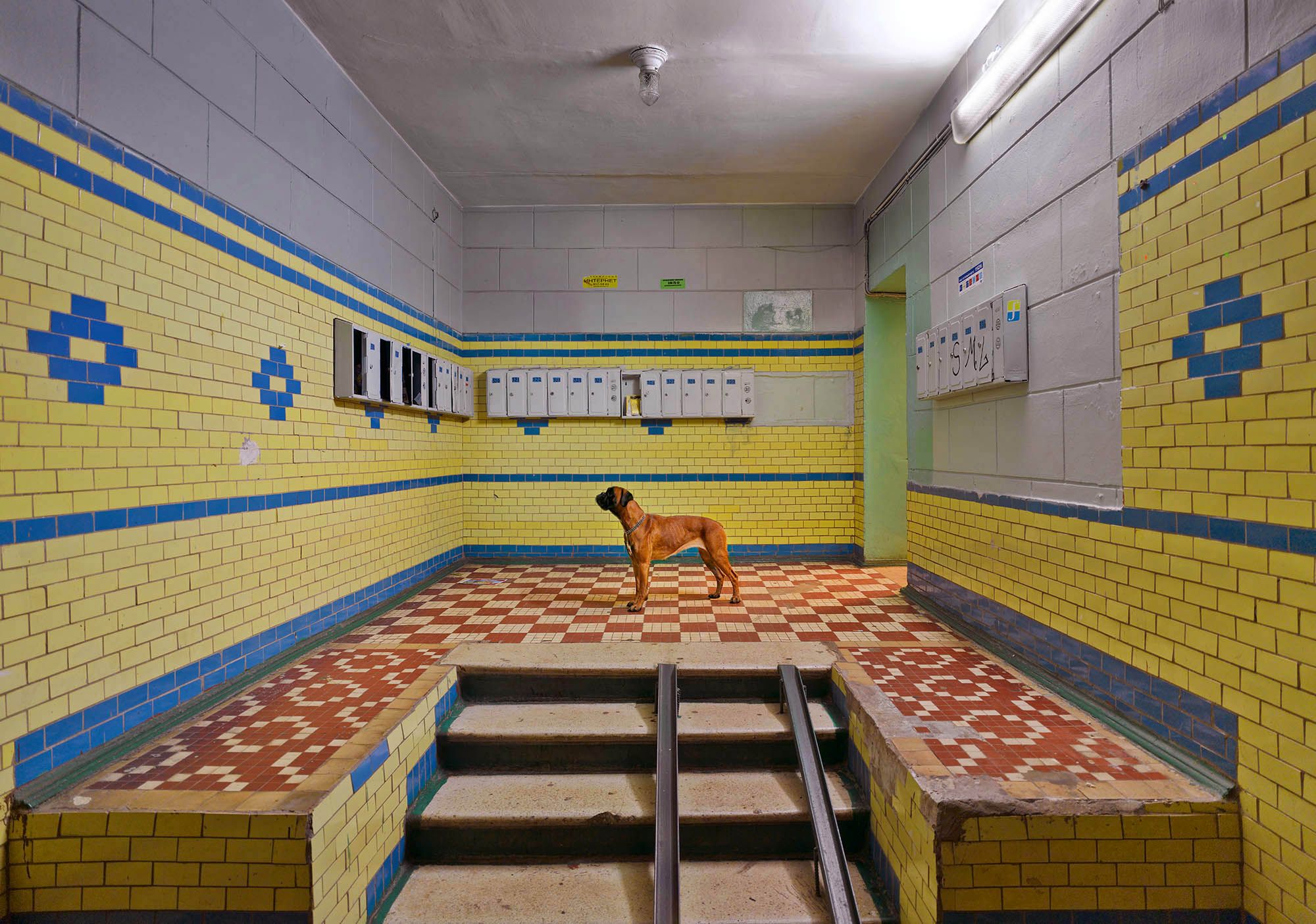 Zdjęcia uliczne Franka Herforta opowiadają ”Rosyjskie Bajki” dzisiejszego świata 14