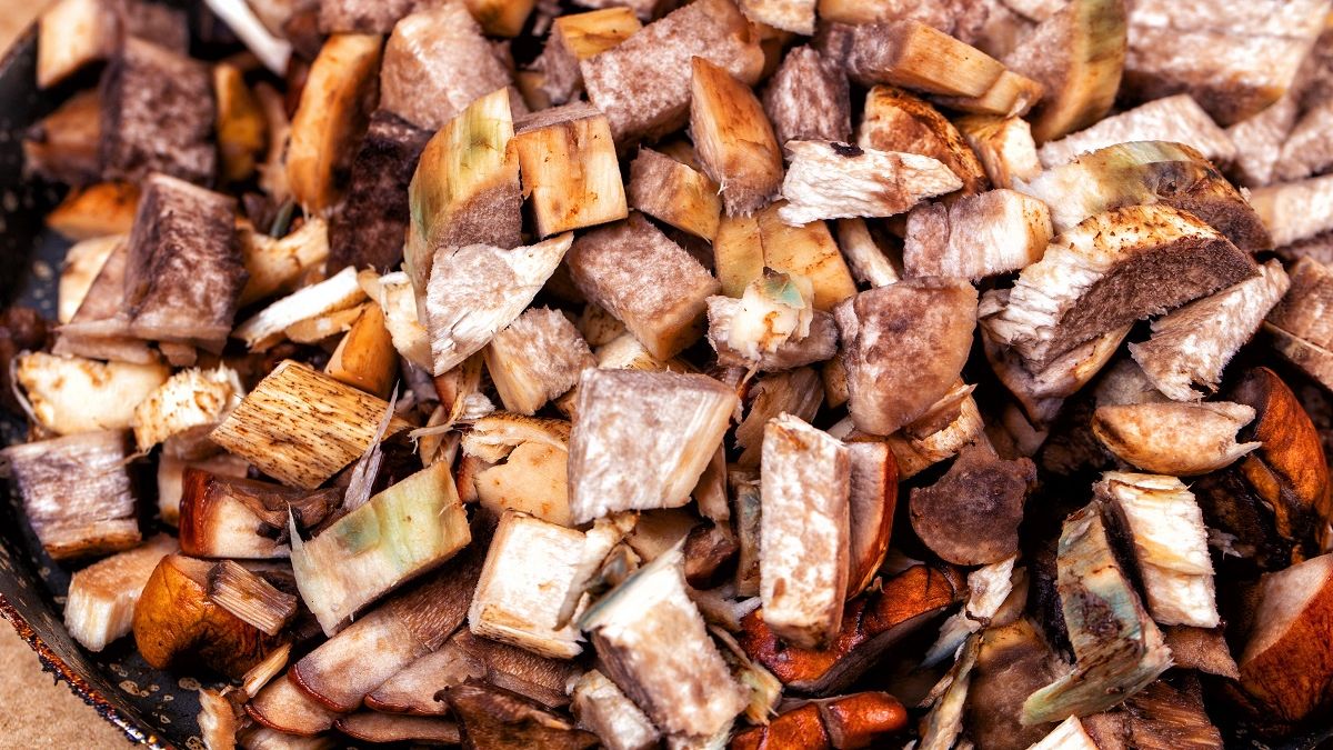 Wielu kupuje takie grzyby i się nimi zajada. 