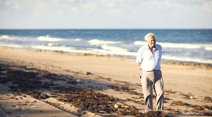 Błękitna Planeta 2