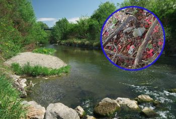 Oświadczyny i tysiące plastikowych płatków róż w rzece. Policja bada sprawę