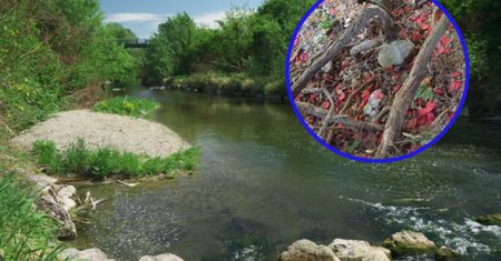 Oświadczyny i tysiące plastikowych płatków róż w rzece. Policja bada sprawę