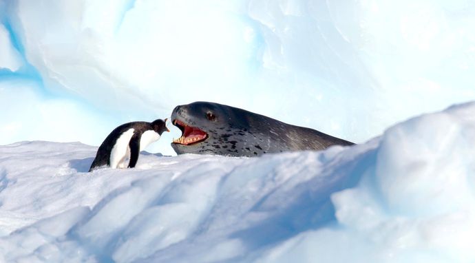 Siedem światów, jedna planeta