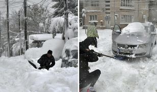 Śnieżyce sparaliżowały Bałkany. Wojsko w stanie gotowości