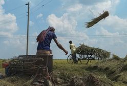 Tragiczne skutki burz w Bangladeszu. 10 ofiar śmiertelnych