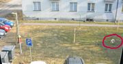 Ostrów Mazowiecka: Strzelał z broni pneumatycznej prosto w okna