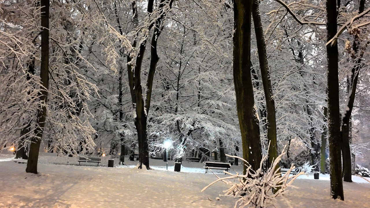 Pierwszy śnieg w Parku Staszica w Częstochowie, 26 listopada 202