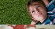 TOP 10: najlepsze filmy XXI wieku według BBC