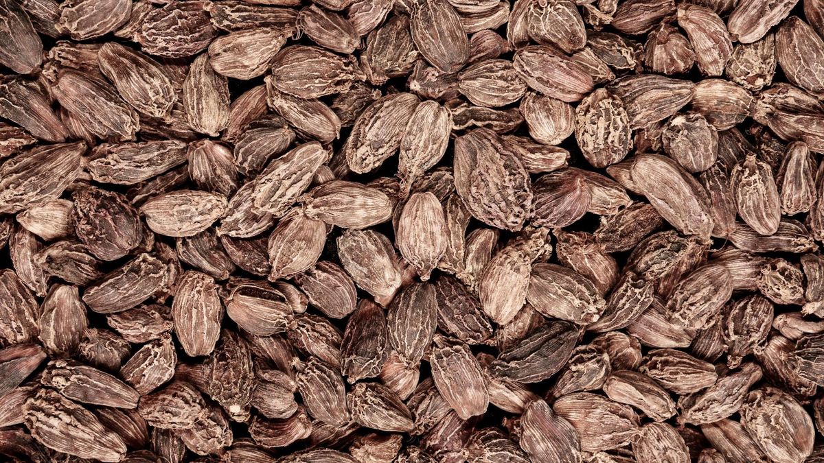 Czarny kardamon charakteryzuje się bardziej dymnym, ziemistym i intensywniejszym aromatem.