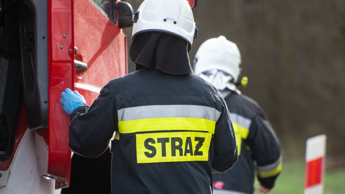 Wypadek na DK27 pod Zielon? G�r?
Fot. NewsLubuski/East News, Swidnica, 23.03.2024. Wypadek drogowy na drodze krajowej nr 27 pod Zielona Gora. Na odcinku Swidnica - Piaski samochod osobowy marki Peugeot zjechal z trasy i uderzyl w drzewo. Jedna osoba zostala poszkodowana.
NewsLubuski