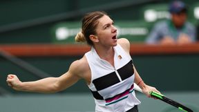 Puchar Federacji: Simona Halep zdobyła punkt dla Rumunii. Caroline Garcia wyrównała stan półfinału