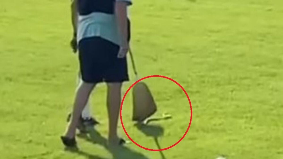 Żmija przerwała mecz piłkarski