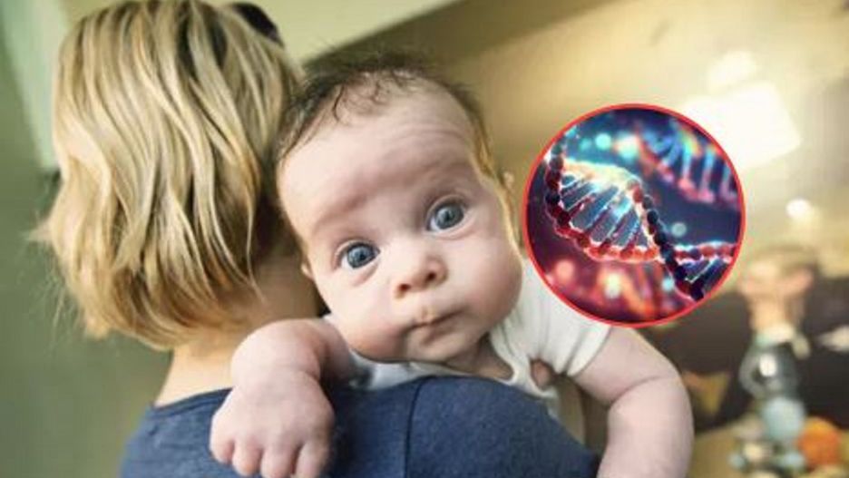 Poziom inteligencji i pamięć. Naukowcy zbadali po kim je dziedziczymy