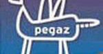 Pegaz nominuje