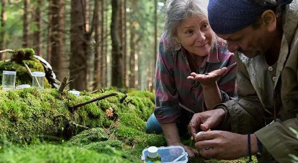 Już dziś film "Pokot"