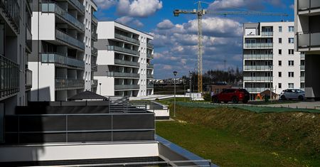 Popyt wystrzeli. Skutek może być jeden. "Rząd nie przewidział"