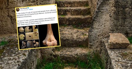 Kanibalizm w Anglii. Archeolodzy dokonali przerażającego odkrycia
