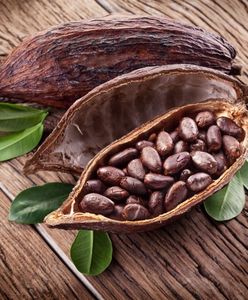 Kakao - wartości odżywcze, właściwości i odmiany