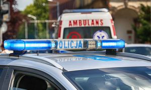 Śmiertelny wypadek przy wycince drzewa. Prokuratura ujawnia obrażenia