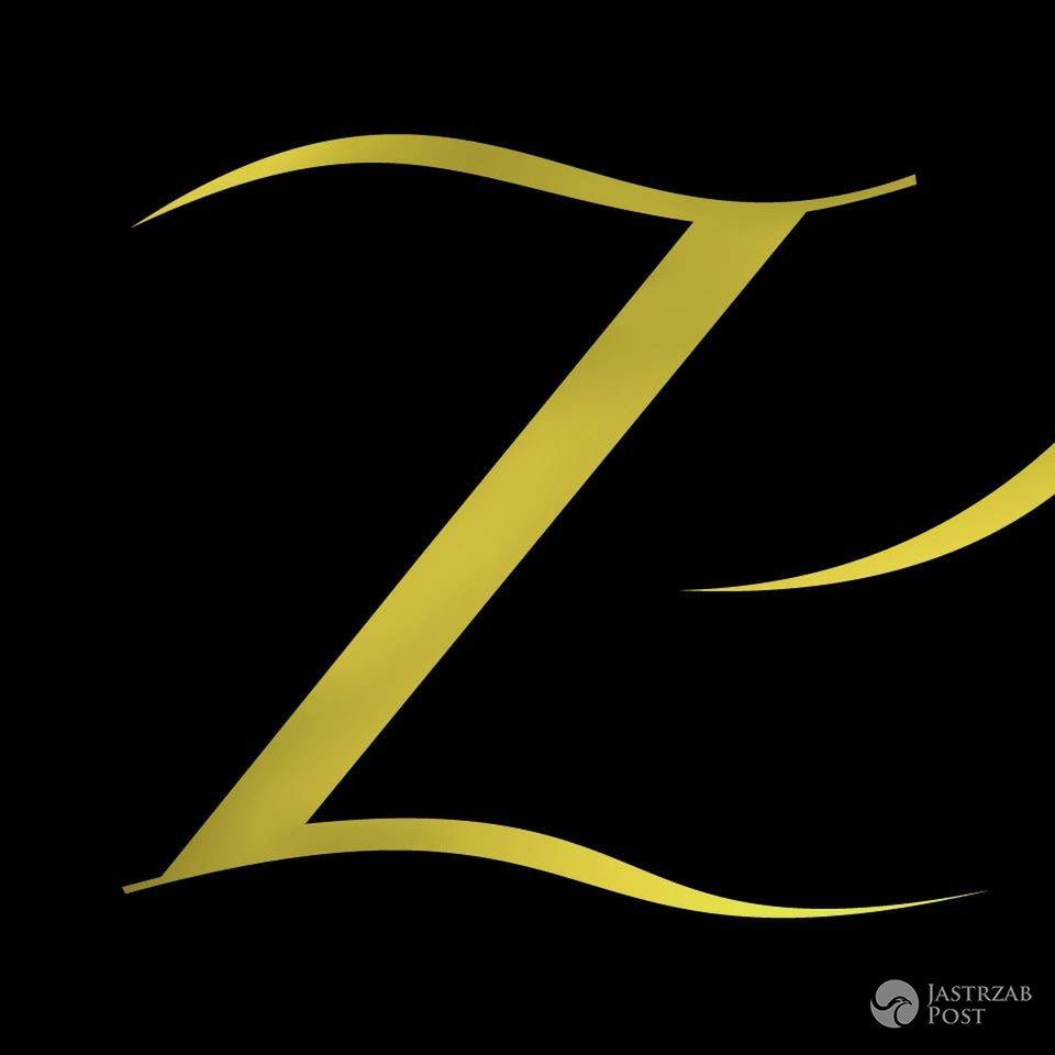 Stare logo ZIEŃ