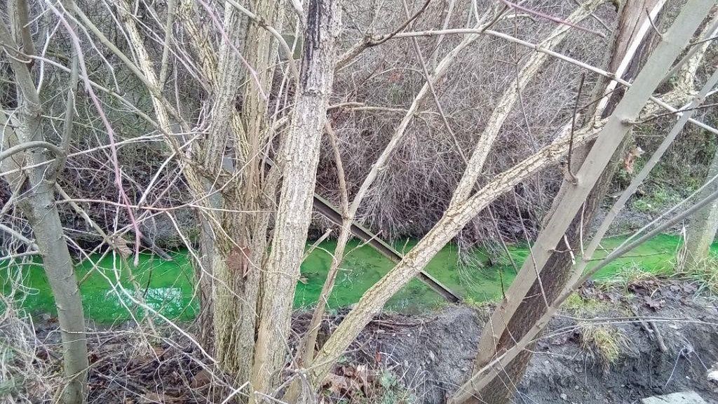 Woda zmieniła kolor 