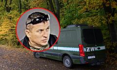 Borys zauważony w innym miejscu? "Fałszywe zgłoszenie"