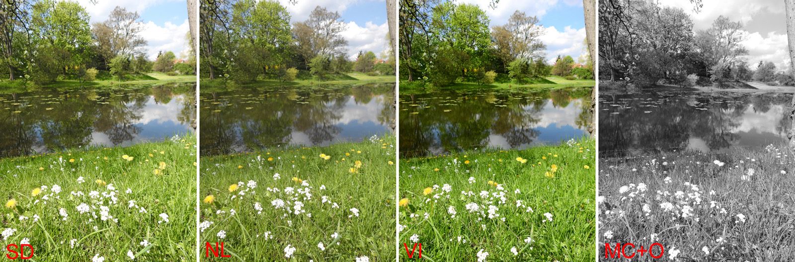 Nikon Coolpix P900 – dwumetrowy zoom! 16