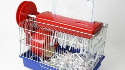 Niszczarka papierów napędzana chomikiem 1