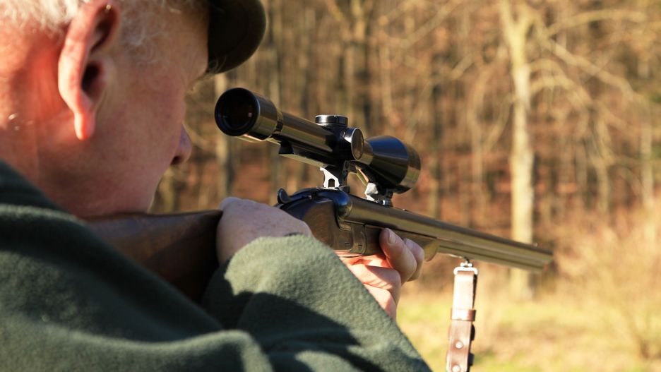 jagen, jäger, förster, forstbeamter, schiessen, schuss, wild, jagd, wald, frühling, natur, pirsch, pirschen, ansitz, gewehr, grün, forst, drilling, herbst, hut, jagderlebnis, mann, gamsbart, jägerhut, jagdausrüstung, jacke, gehen, naturschutz, jagdjacke, waldspaziergang, tier, bäume, blätter, weg, umweltschutz, klima, grüne, wälder, hose, baum, wiese, zielfernrohr, durchschauen, zielen, ziel