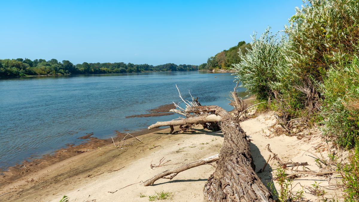 Poziom wody w Wiśle coraz niższy.