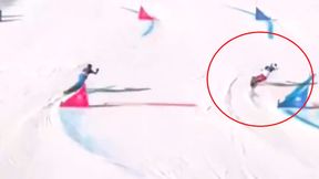 Było już tak blisko. Zobacz ćwierćfinałowy pojedynek Król-Walas [WIDEO]