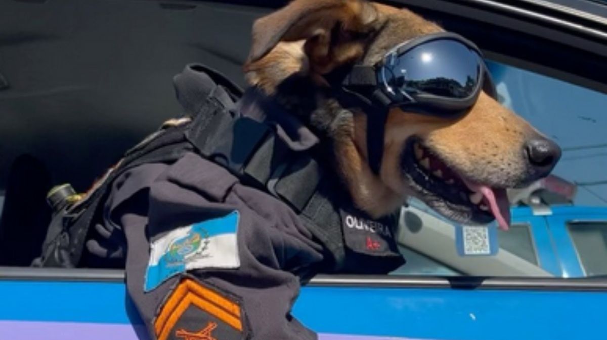 Kapral Oliveira ma w Internecie tysiące fanów