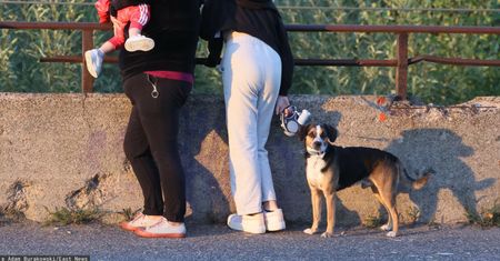 Zostają matkami w dojrzałym wieku. Mierzą się z serią stereotypów