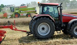 Nadajesz się do życia na wsi? Sprawdź