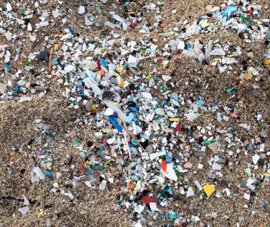 USA. Plastikowy deszcz na obszarach chronionych