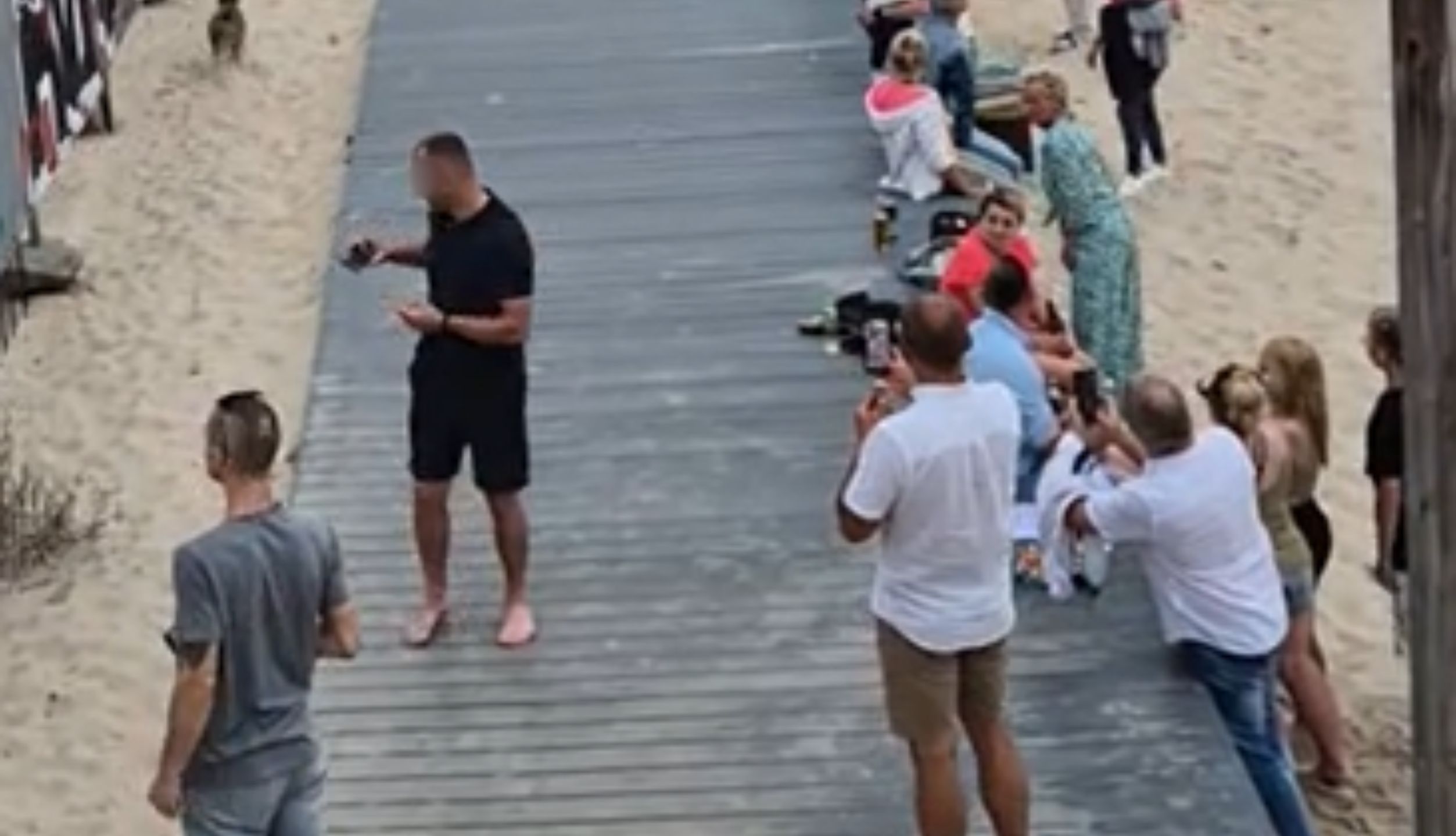 Dziki na plaży w Międzyzdrojach. Ludzie aż wyciągali telefony.