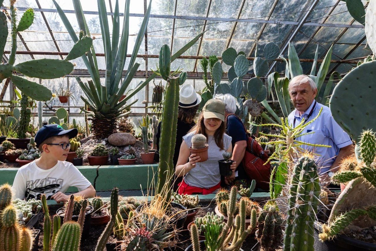 Ogród Botaniczny w bydgoskim Myślęcinku zaprasza mieszkańców na bezpłatne zwiedzanie