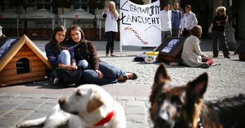 Zakaz łańcuchów. "Nikt nie zmusza nikogo do posiadania psa"