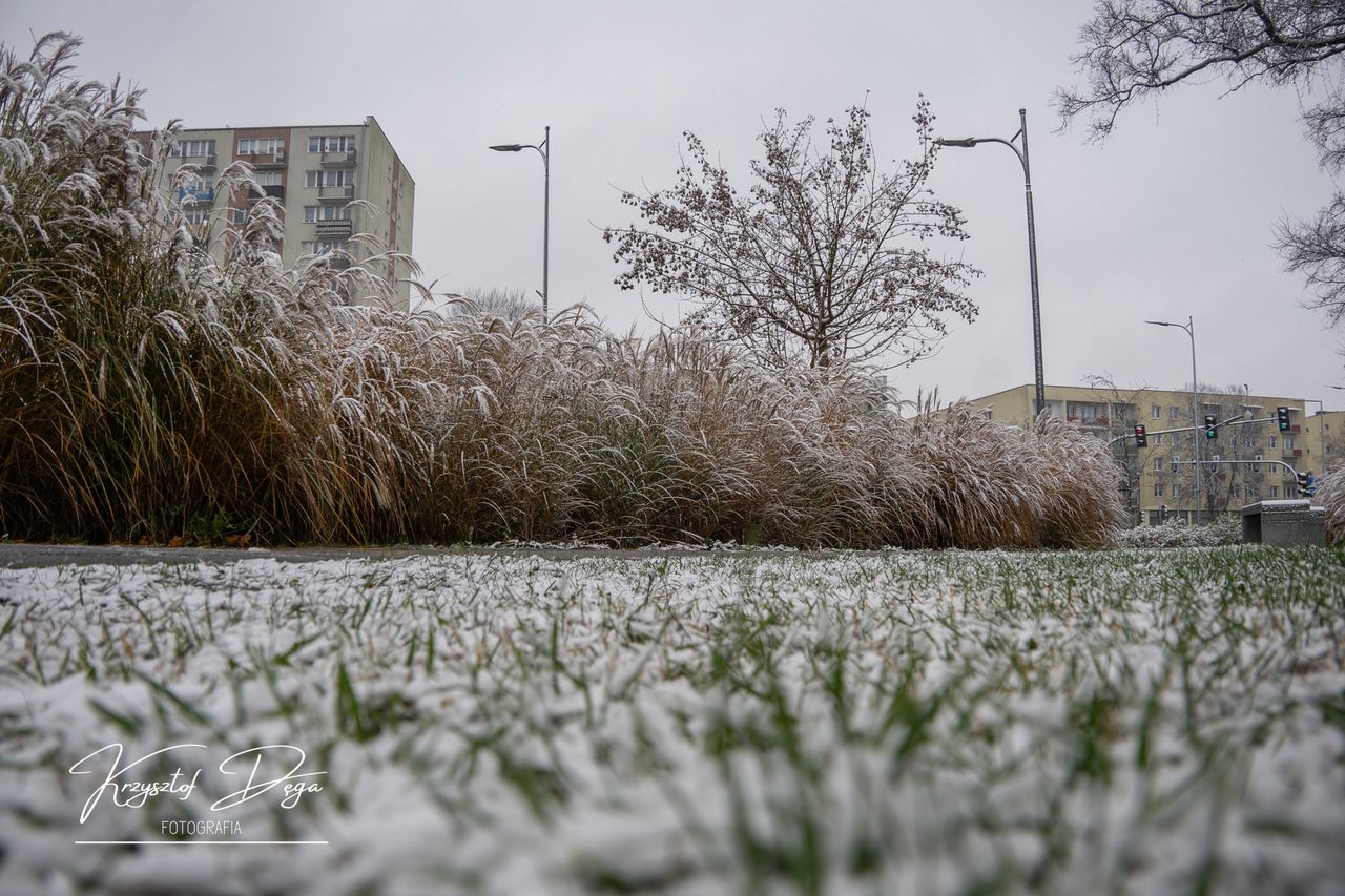 Mamy pierwszy śnieg