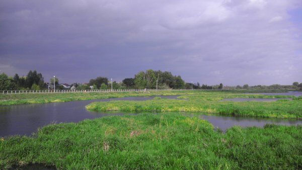 Obraz