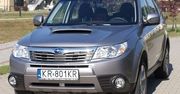 Leśnik elegant - Subaru Forester