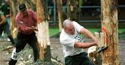 Sport dla wybranych