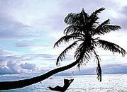 Szef Oracle'a kupił wyspę w archipelagu Hawajów