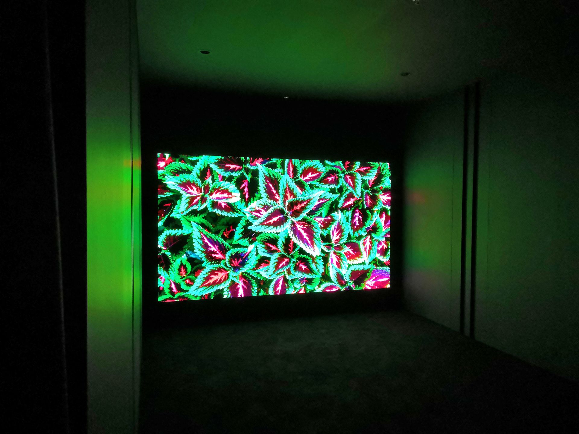 IFA 2018. LG pokazało 173-calowy ekran micro LED