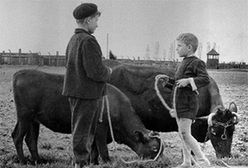 PRL według Geralda Howsona