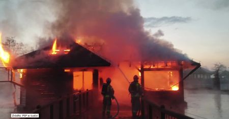 Pożar w zoo w Borysewie. Zginęło 20 papug i osiem małp