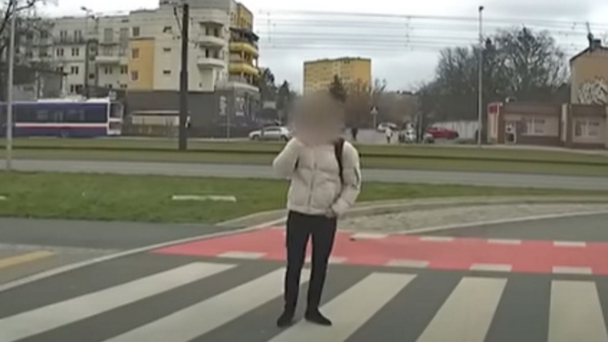 Pieszy zatrzymał się na przejściu