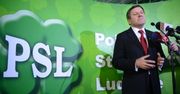 Zaskakujące plany nowego szefa PSL